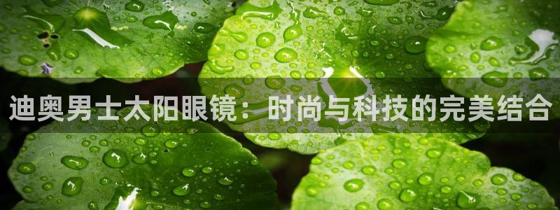 新宝5客户端登录