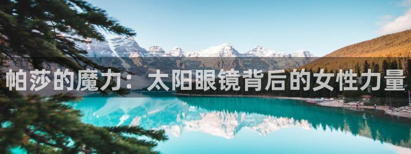 新宝5电脑登录网址