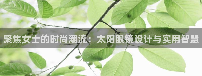 新宝5主管