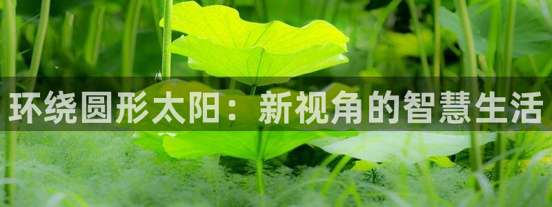 新宝5登录注册