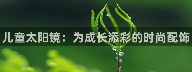 新宝G5