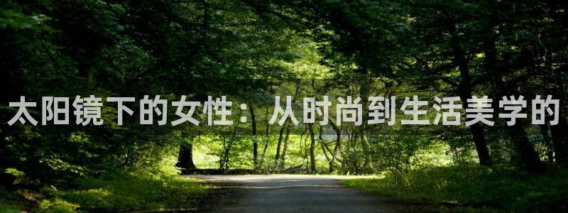 新宝5策略
