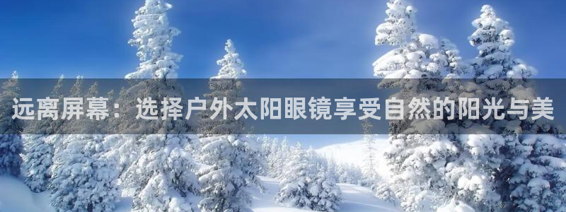 新宝5是什么