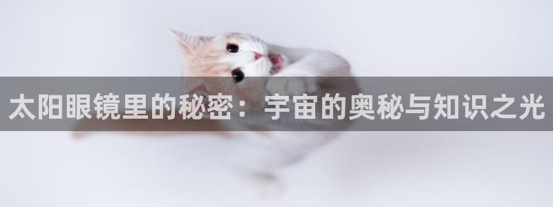 新宝5入口