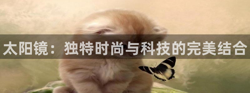 新5宝
