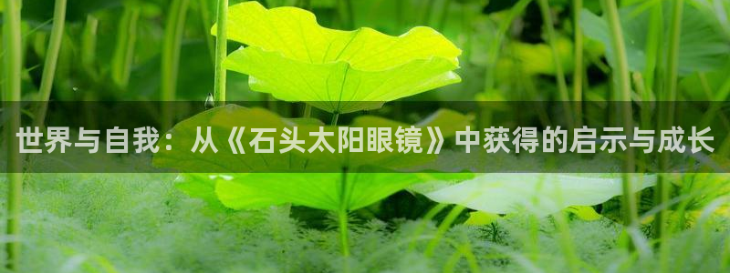 新宝5安卓版