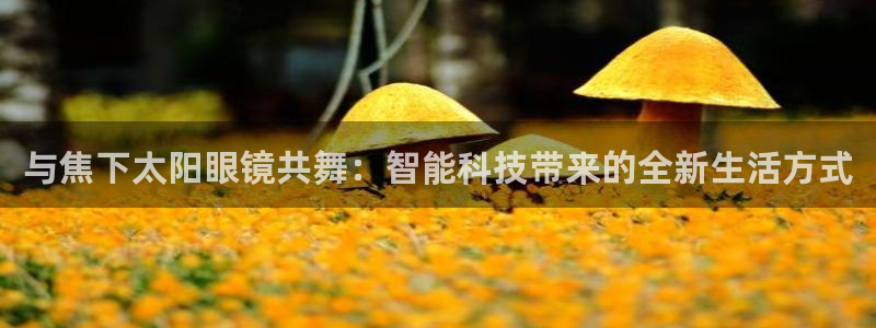 新宝5官网