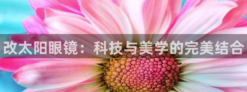 新宝5找找74OOO5