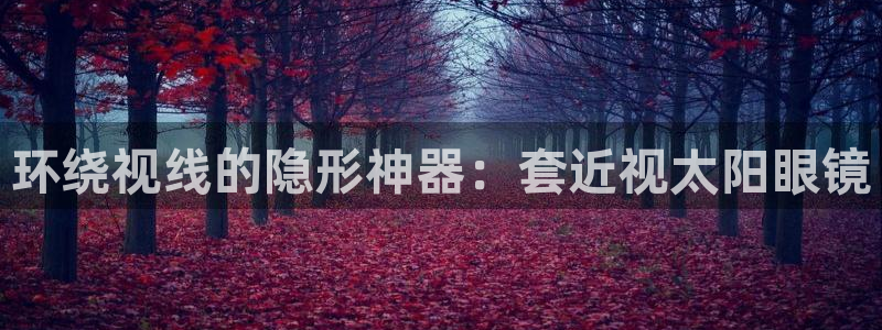 新宝5app手机下载