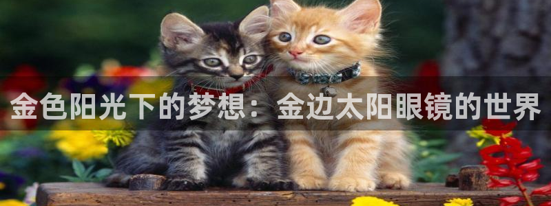 新宝5娱乐然