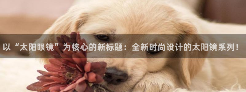 新宝5软件下载