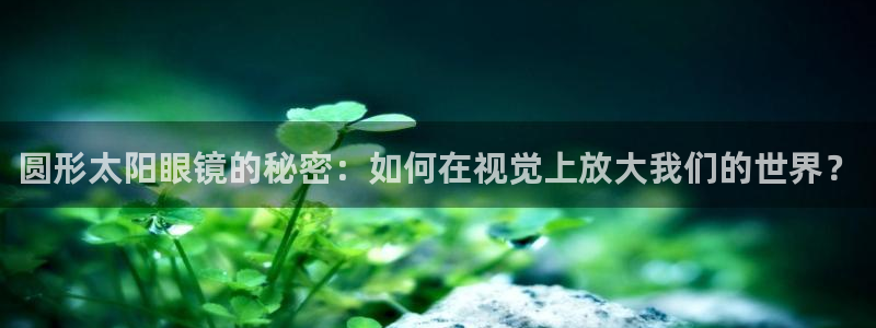 新宝5网站