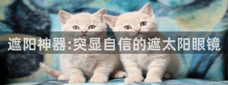 新宝5系列