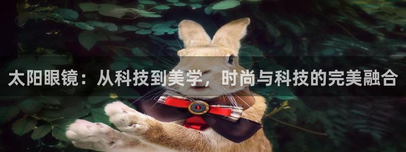 新宝5软件下载