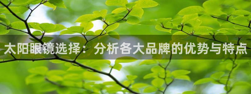 新宝5可靠吗