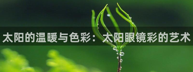 新宝5娱乐网址