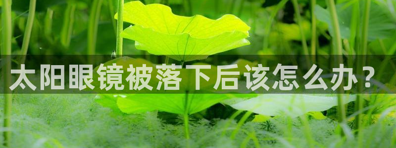 新宝5彩票娱乐平台