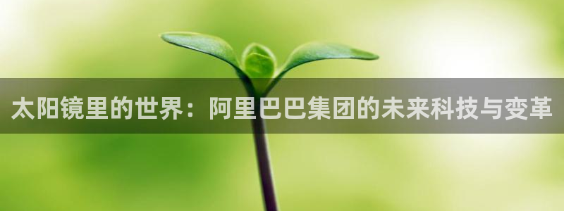新宝5官网