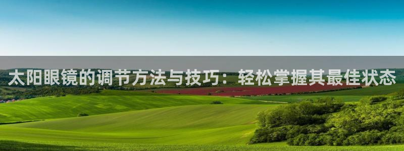新宝股东张听2 5 5