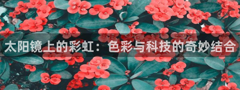 新宝股东瞧听2 5 5