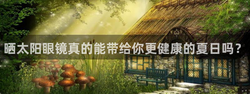 新宝5是什么