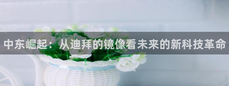新宝5网站