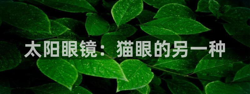 新宝5挂机
