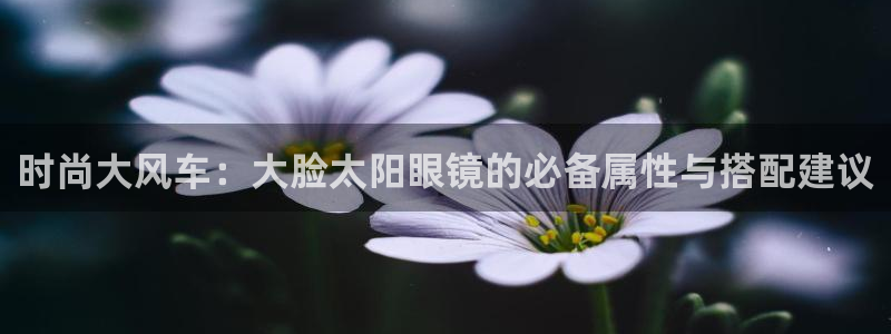 新宝5是什么