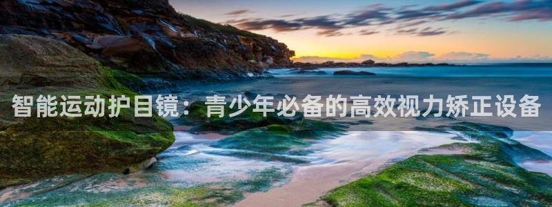 新宝5是什么样子的
