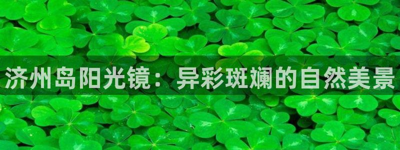 新宝5怎么代理