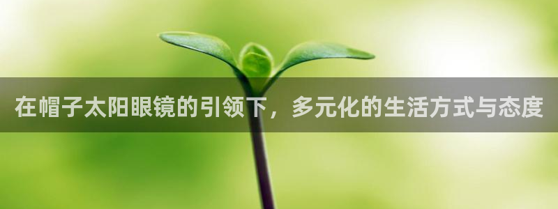 新宝5是什么